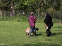 IMG 2758