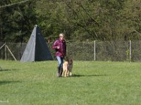 IMG 2763