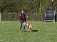 IMG 2766