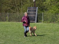 IMG 2767