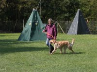 IMG 2772