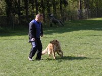 IMG 2776
