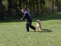 IMG 2781