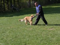 IMG 2783
