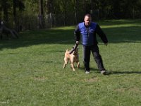 IMG 2784