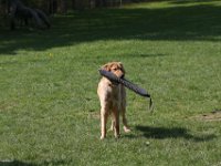 IMG 2786