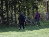 IMG 2798