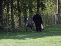 IMG 2799