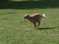 IMG 2810