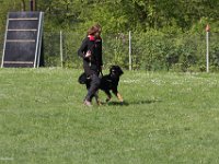 IMG 2825