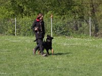 IMG 2826