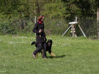 IMG 2827