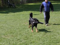IMG 2841