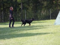 IMG 2851