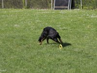 IMG 2854