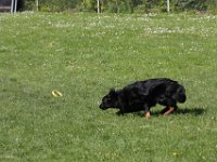 IMG 2855