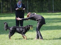 IMG 2858