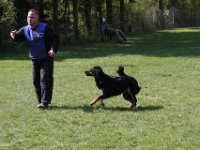 IMG 2881