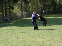 IMG 2888