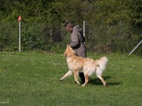 IMG 2617