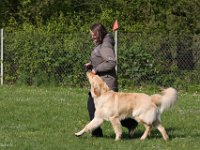 IMG 2622