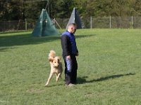 IMG 2628