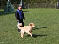 IMG 2629