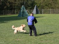 IMG 2633