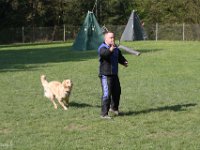 IMG 2636