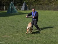IMG 2641