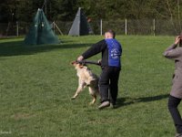 IMG 2643