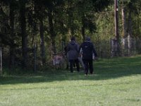 IMG 2656
