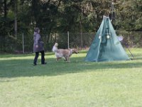 IMG 2661