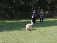 IMG 2663