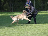 IMG 2666