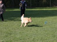 IMG 2668