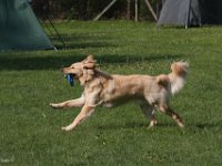 IMG 2671