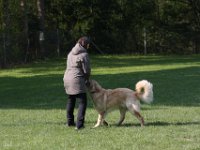 IMG 2674