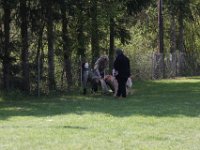 IMG 2945