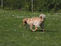 IMG 2951