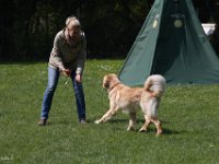 IMG 2954
