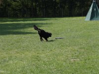 IMG 2983