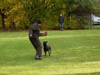 IMG 9165