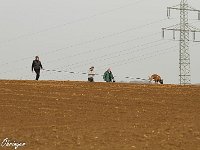 IMG 3203