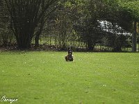 IMG 3412