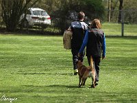 IMG 4054
