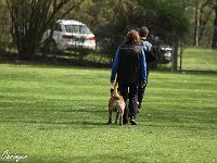 IMG 4056