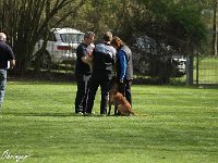 IMG 4066