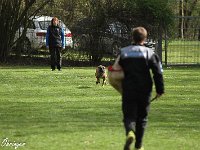 IMG 4069
