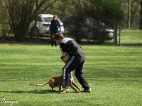 IMG 4075